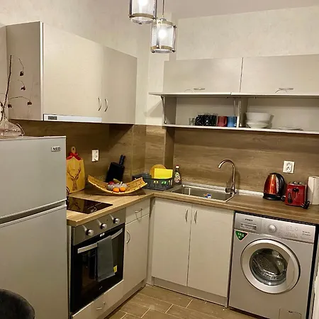 Luxury Studenets Apartment