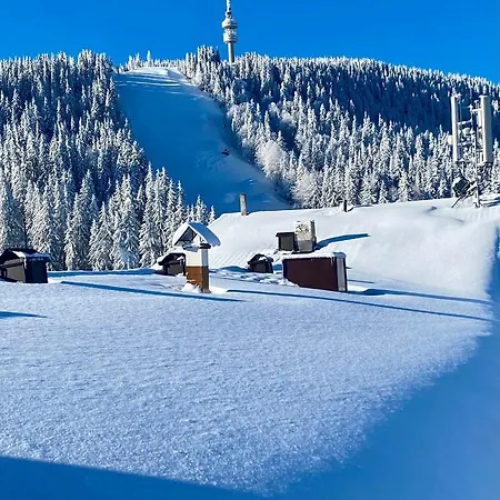 Apartmán Luxury Studenets Pamporovo