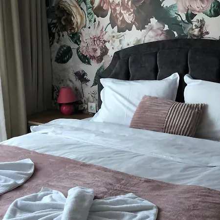 Luxury Studenets Apartment