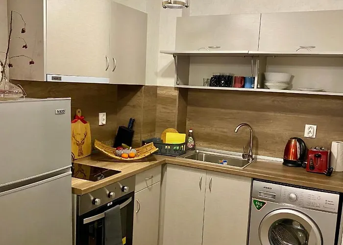 Luxury Studenets Apartment