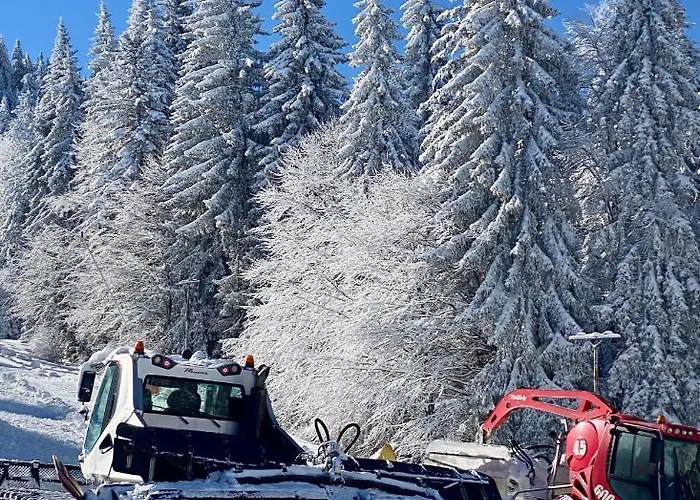 Luxury Studenets Apartment