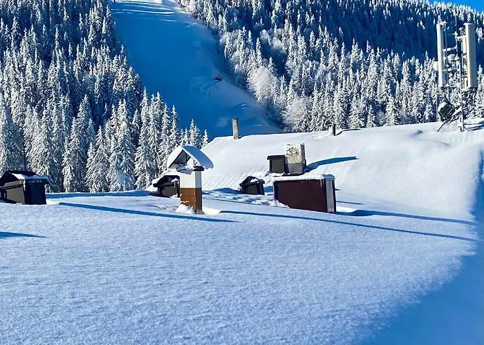 Apartment Luxury Studenets Pamporovo