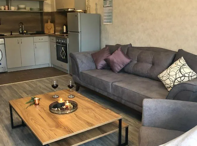 Luxury Studenets Apartment 3*