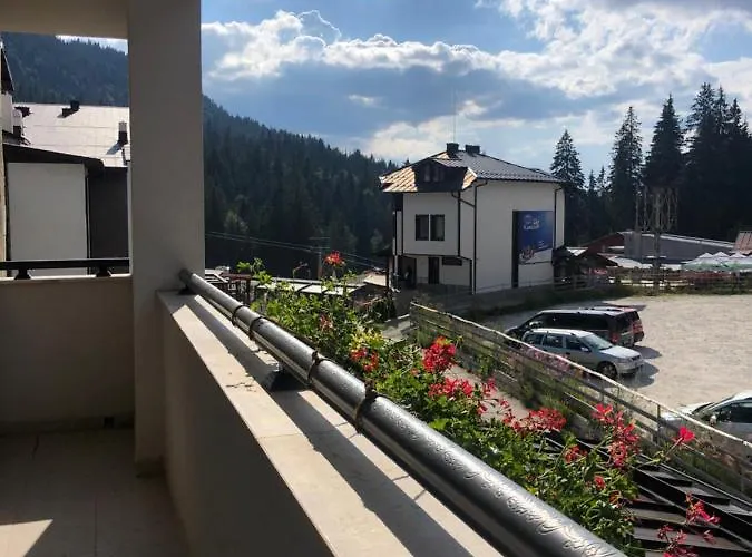 Luxury Studenets Apartment