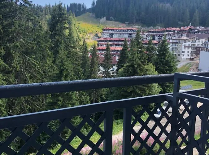 Luxury Studenets Apartment