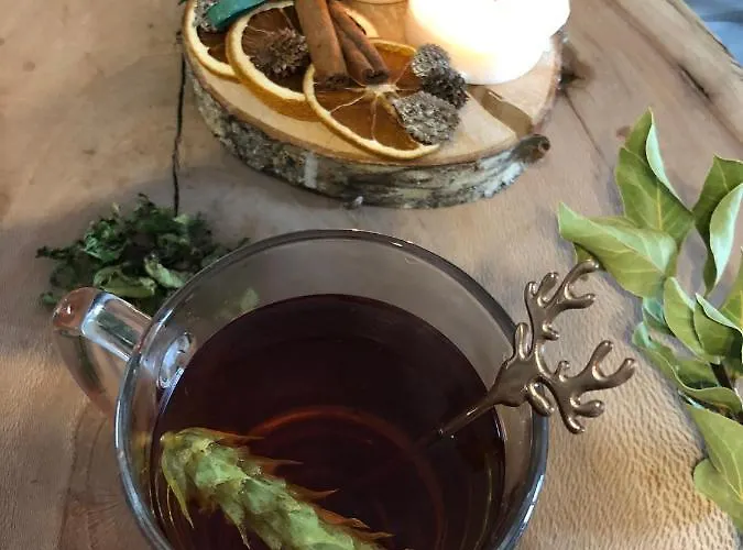 Luxury Studenets Apartment