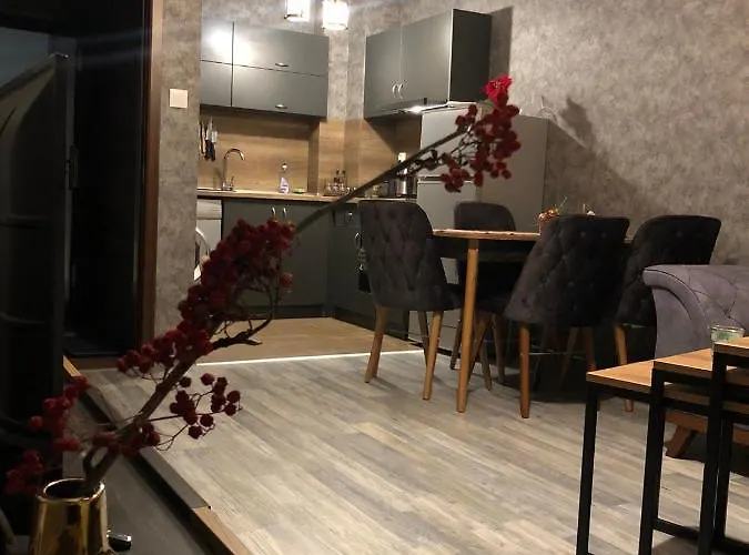 Apartment Luxury Studenets 3*