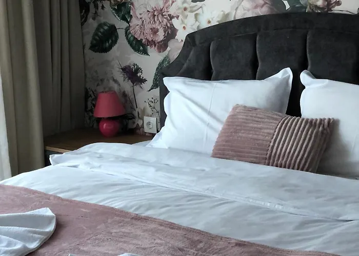 Luxury Studenets Apartment